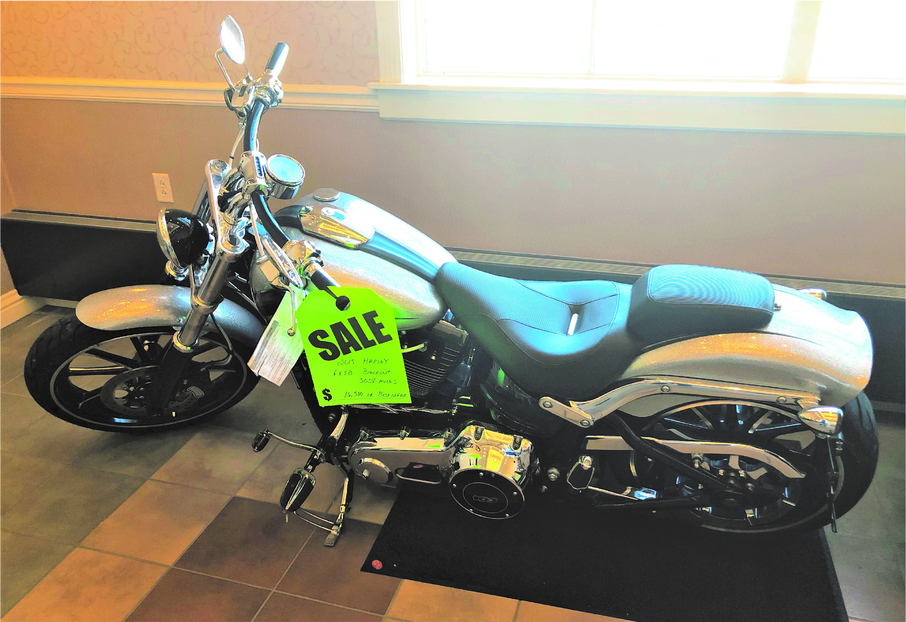 2015 Silver Harley Davidson FSXB